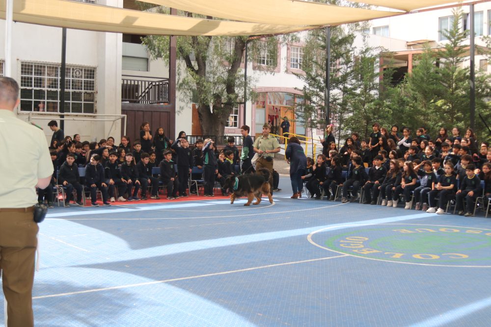 Visita de Escuela de adiestramiento canino de carabineros