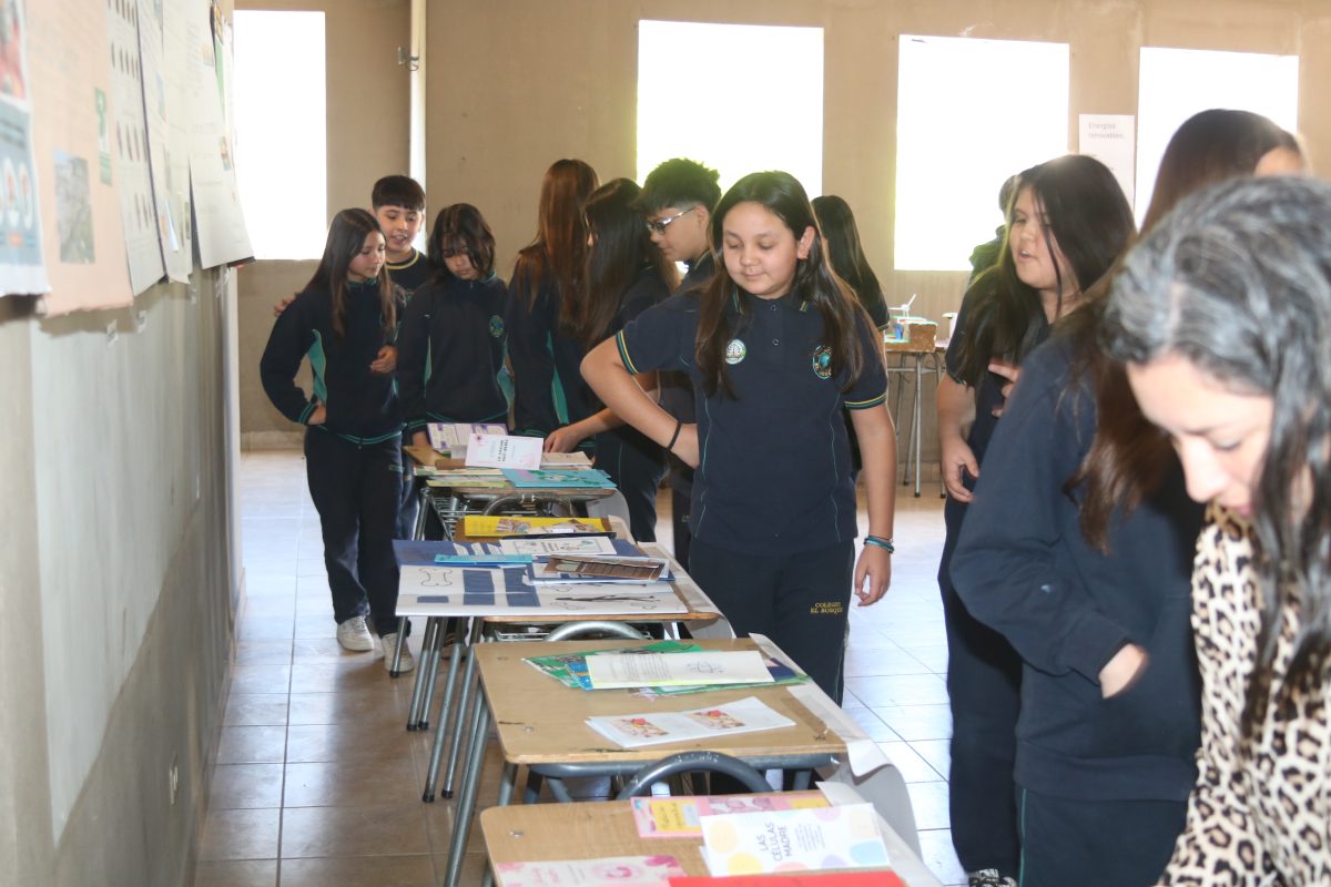 Feria de las ciencias