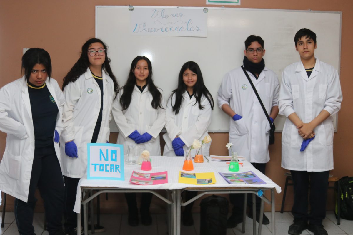 Feria de las ciencias