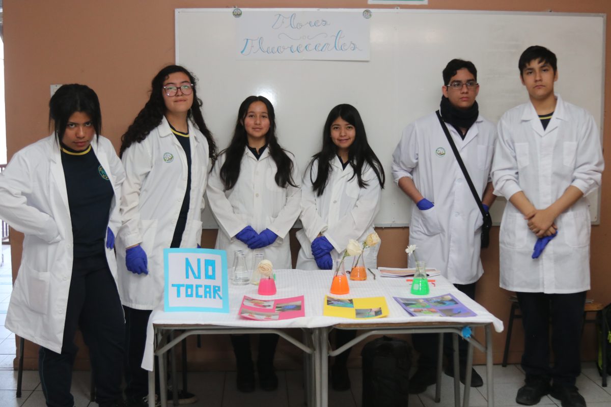 Feria de las ciencias