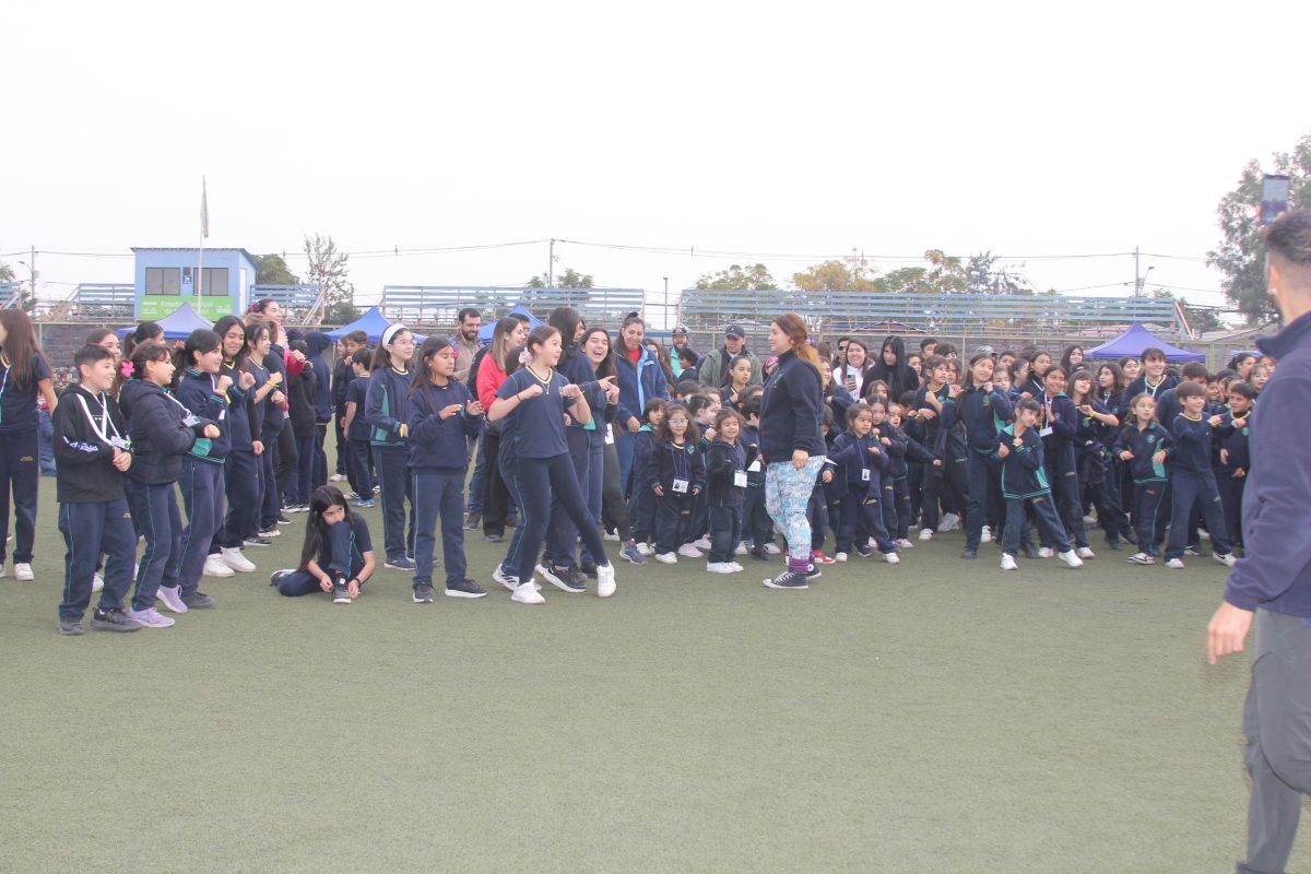 Día de la actividad física