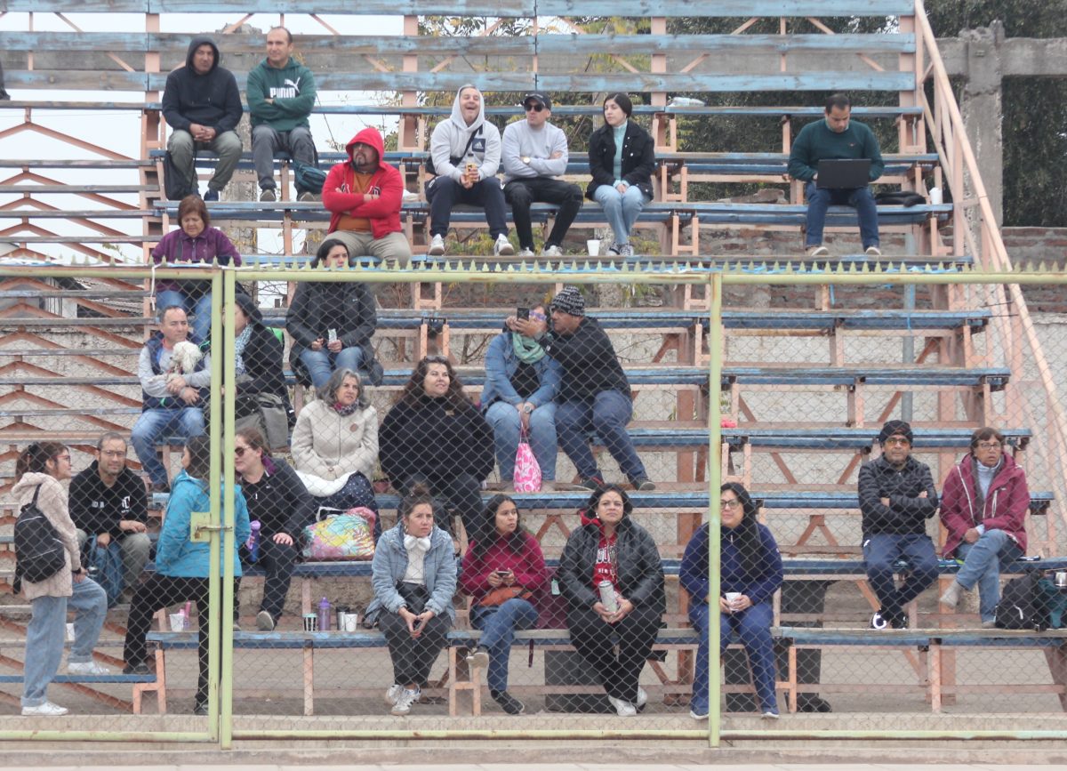 Día de la actividad física