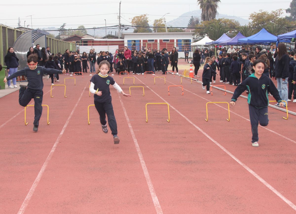 Día de la actividad física
