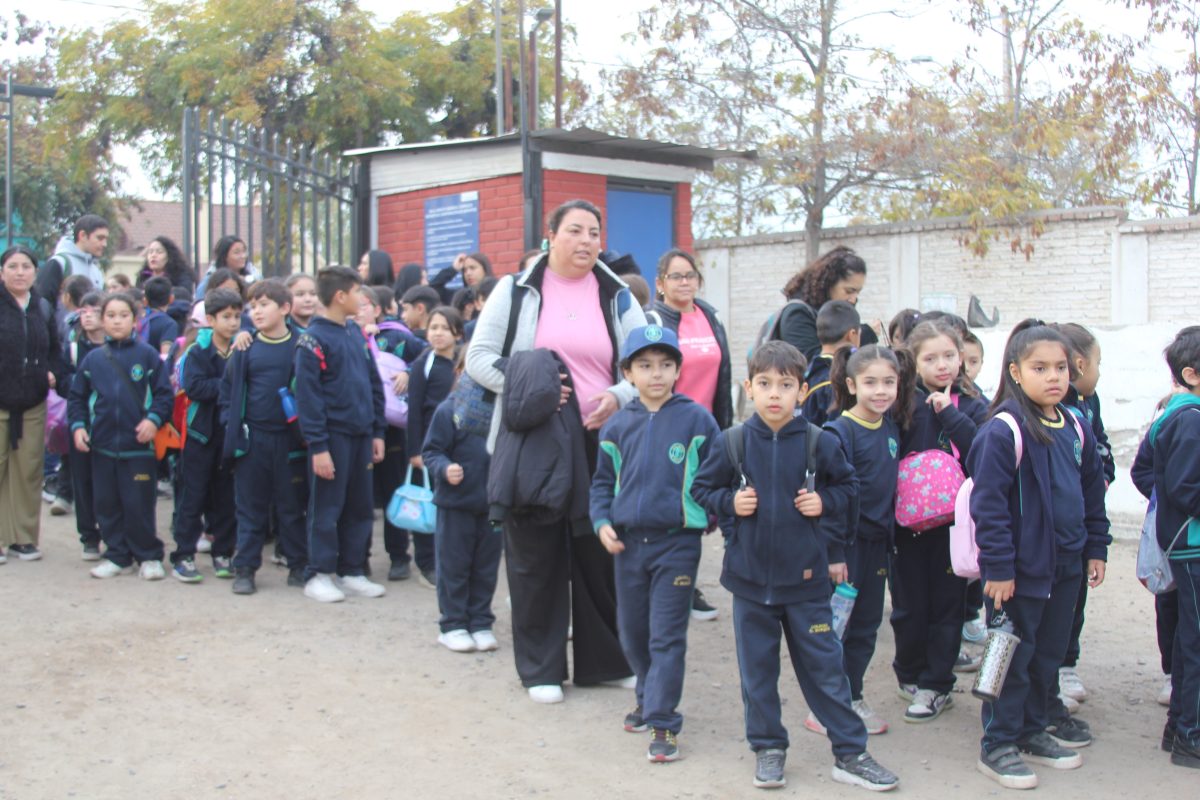 Día de la actividad física