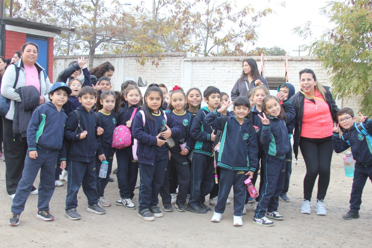 Día de la actividad física