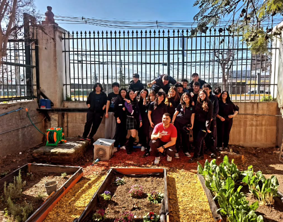 Actividades de Electivo Ecosistemas 2025